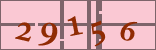 驗證碼